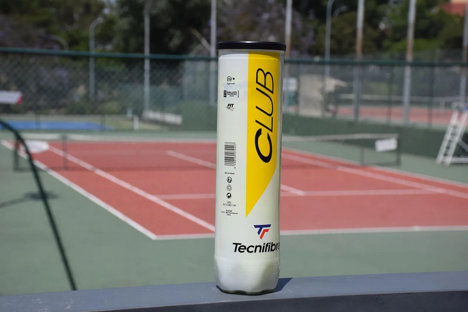 Bolas Tecnifibre Club · Tubo de 4